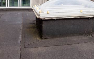 disadvantages of Strete Ralegh flat roofs