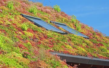 Strete Ralegh living roof systems