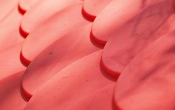 Strete Ralegh plastic roof costs