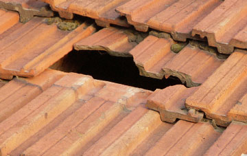 roof repair Strete Ralegh, Devon