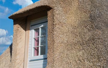 Strete Ralegh thatch roof disadvantages
