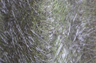 Strete Ralegh fibreglass roof work